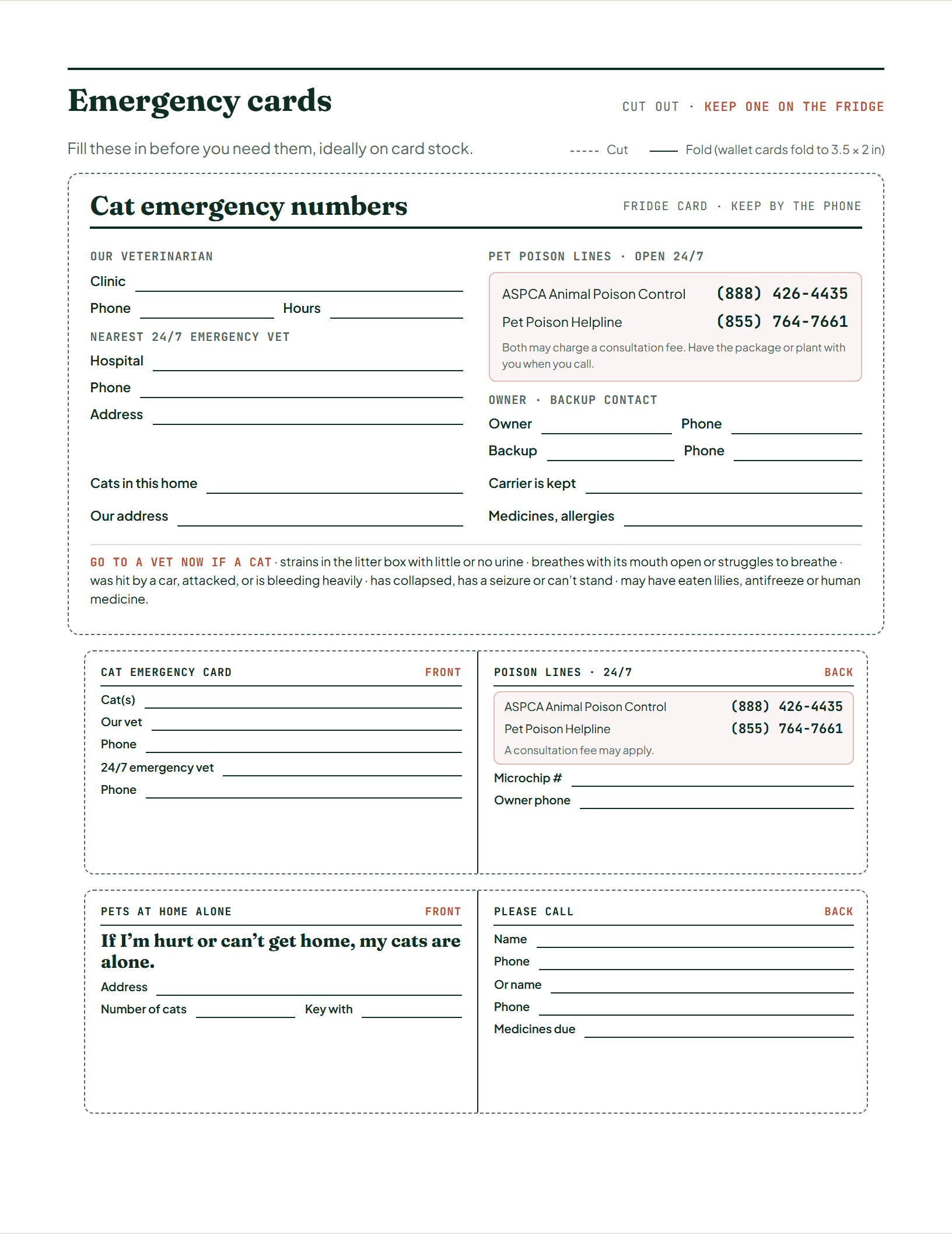 Page 4 of Cat Health & Sitter Planner
