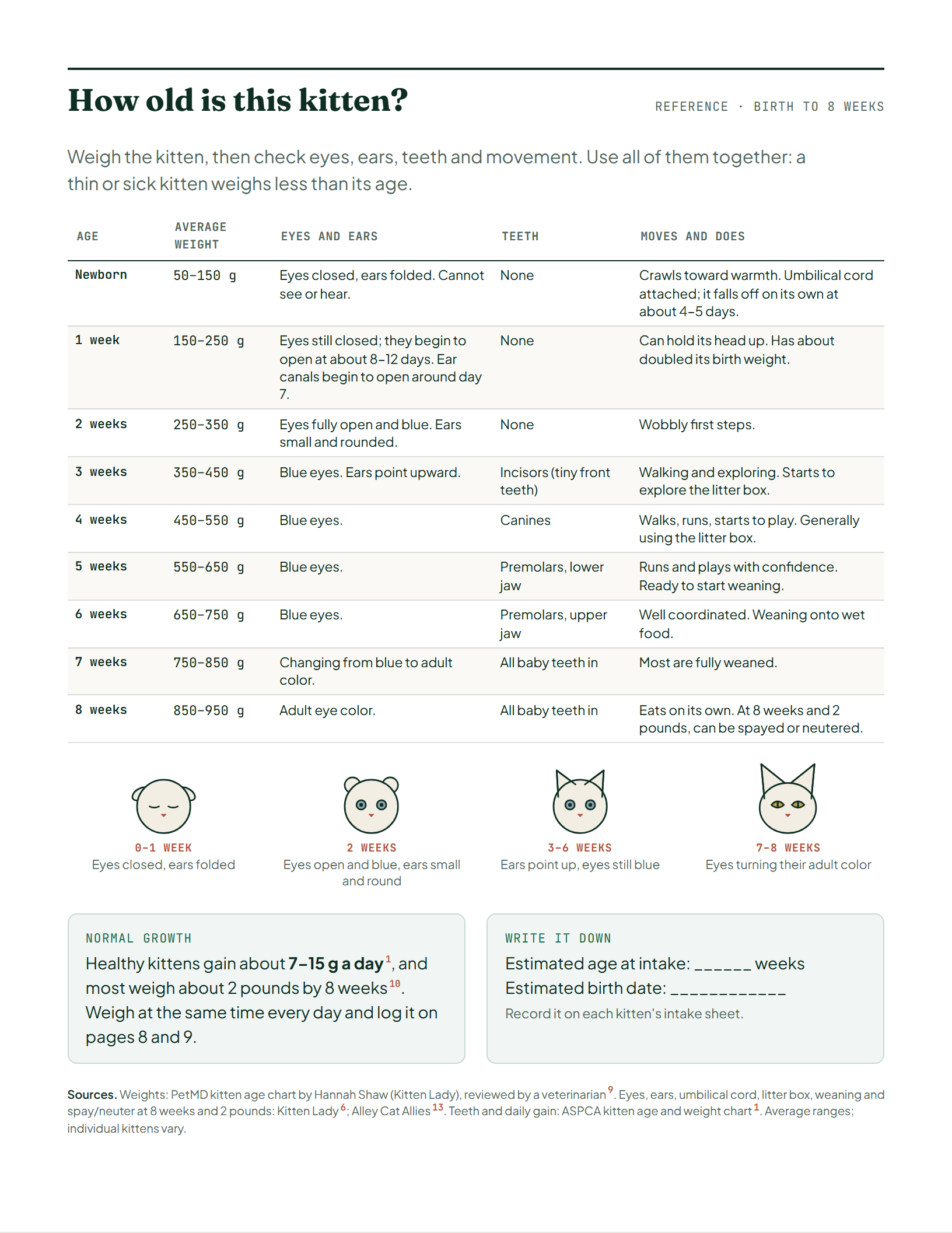 Page 3 of Foster Kitten Care Log